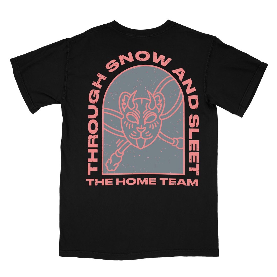 Snow & Sleet
