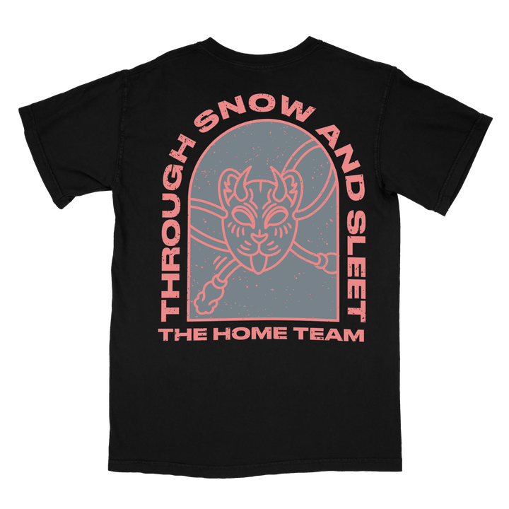 Snow & Sleet